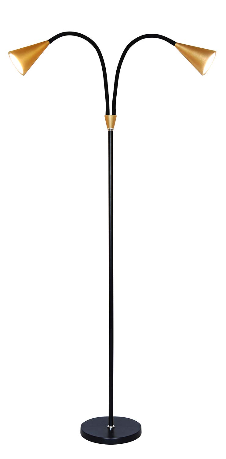 SkyeyArc 2-Light LED Floor Lamp with Flexible Gooseneck for Reading, Craft & Work, Dimmable and Color Adjustable with Remote Control, Standing Pole Light for Living Room, Office, 12W, Black and Golden