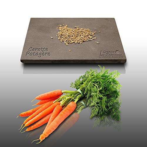 500 graines à semer - Le Grenier d'Abondance - CAROTTE Nantaise Améliorée 3 - Daucus Carota