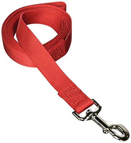 Aspen PET Products 20046 Single Nylon Pet Leash, 1-Inch 6-Feet, Red
