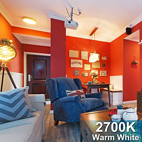 ProCrus E27 vintage led-gloeilamp, G45 4 W Edison ledlamp, 2700 K warm wit, 300 lm lichtbron vervanging voor 30 W… - Afbeelding 4