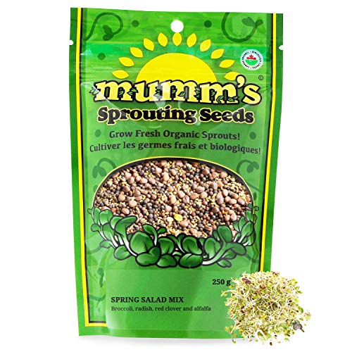 Mumm's Sprouting Seeds - Spring Salad Mix - 250 GR - Organic Sprout Seed Kit - Broccoli, Radish, Alfalfa and Red Clover