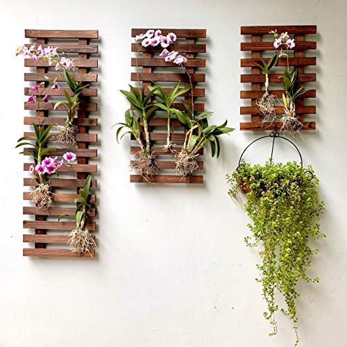 Shoplala Wall Planter – 3 Pack Wooden Hanging Planter For Indoor Plants, Air Plant Succulent Holder, Live Vertical Garden Large Wall Mounted Plant Stand Decor For Christma 15.7 + 23.6 + 35.4 Inch #TOP7