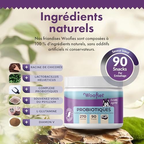 Probiotiques Friandises digestives pour Chiens - 90 pièces - Renforce la Flore intestinale et améliore Le système immunitaire - Ingrédients 100% naturels Prébiotiques (Bœuf) – Image 6
