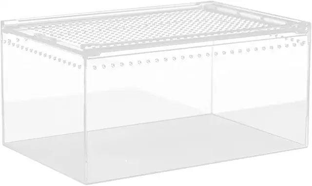 Terrarium pour Lézards Colcolo - Boîte d'Élevage Transparente 30x20x15cm