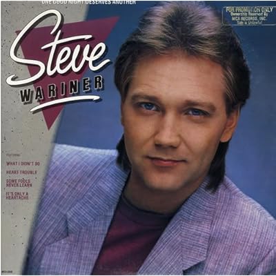 STEVE WARINER - one good night deserves another MCA 5545