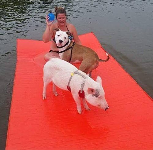 Watermat Doggy Mat Plus