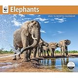Carousel Calendars, Elephants WWF 2026 Wall Calendar, 12.01'' X 14.09'', 16-Month Calendar with Stapled Binding