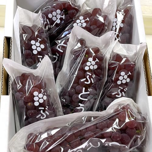 ブドウ 葡萄 ぶどう 神宮寺ぶどう デラウェア約2kg×1箱|織姫の里からの贈り物 [0669]