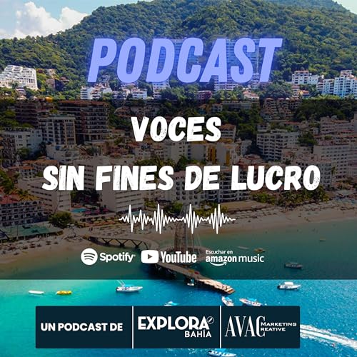 Voces Sin Fines de Lucro cover art