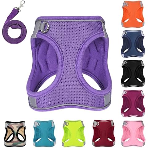 PWOD Dog Harness with Leash Set, No-Pull Step-in Reflective Pet Harness with 1 Leash Clips, Adjustable Soft Padded Easy Walk Dog Vest for Small Medium Large Dogs, Cats(Light Purple, Small) Cover