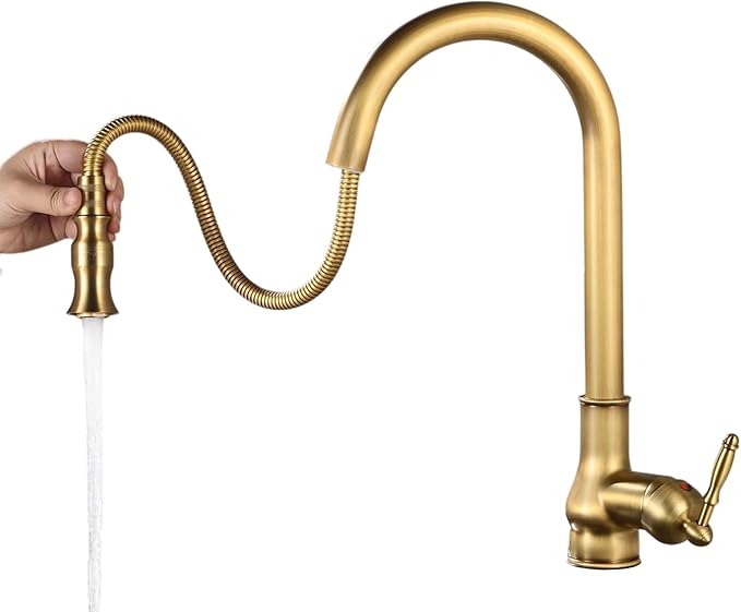 51bFeL2i6zL. AC SX679