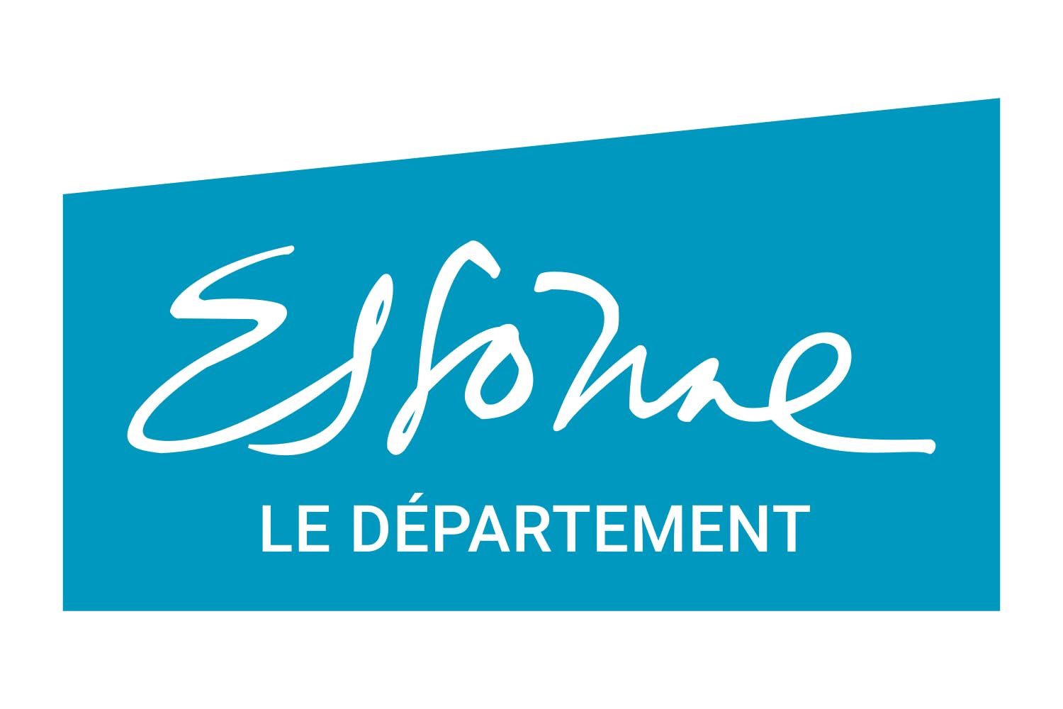 Drapeau Essonne grand format 90x150cm pour mât de mairie