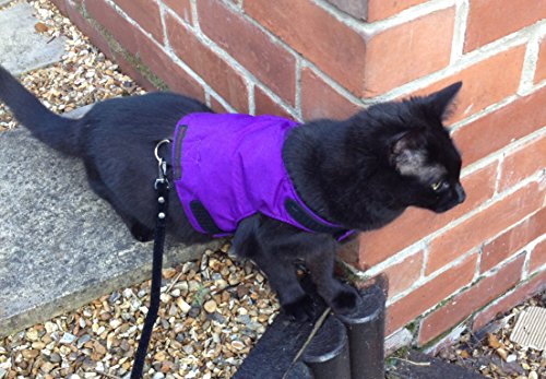Mynwood Cat Jacket/Harness Purple Kitten Up To 8Month #TOP4