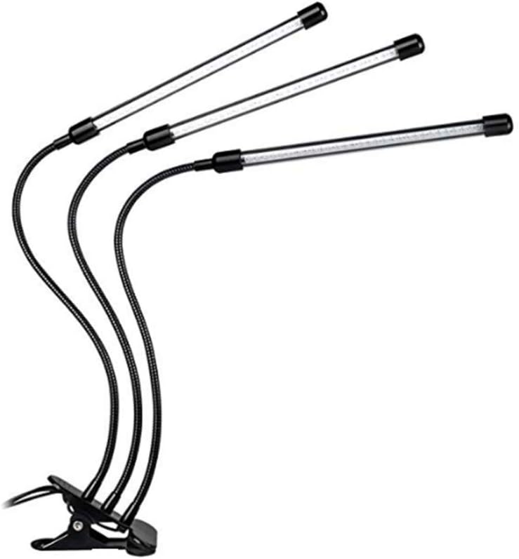 timer di luce per piante