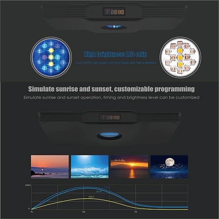Close-up view of the LED chips on the Himarine Spectra V3 light