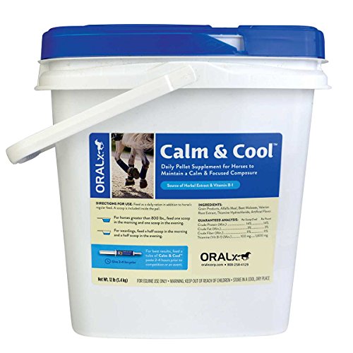 Best Calming Supplement For Horses 2023 Nervous, Anxious, Hot Equine