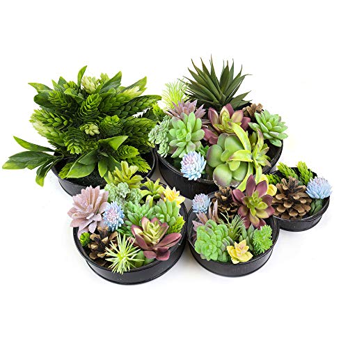 Cys Excel Zinc Metal Planters (H:1.5" D:4" | 5" | 6" | 7" | 8.5")(Set Of 5) | Round Flower Planter Pots | Succulent Plants Centerpieces #TOP2