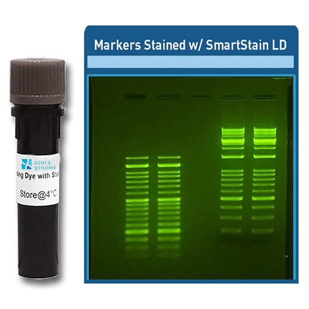 SmartStain Loading Dye 1mL, 6X