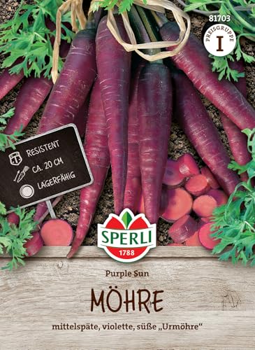 Sperli Möhrensamen Purple Sun, F1 81703 - resistente Sorte - mittelspät - violett - ca. 20cm - lagerfähig - Samen Gemüse, Saatgut, Gemüse Pflanzen, Karotten