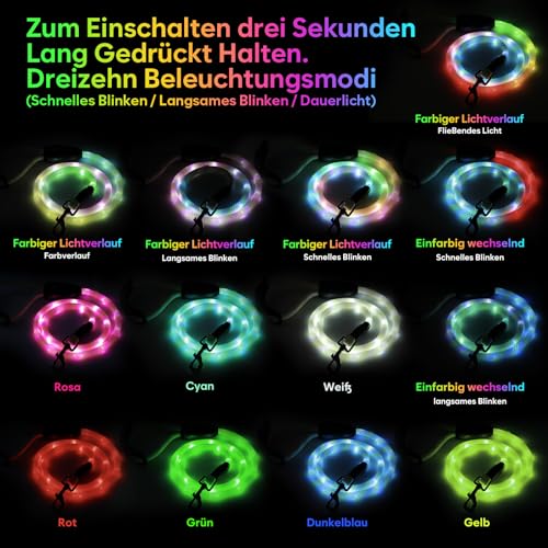Sugiifamy LED Hundeleine, Wiederaufladbar Hundeleine für große, mittelgroße und kleine Hunde, 13 Beleuchtungsmodi mit Silikongriff, Sicherheit beim nächtlichen Spazierengehen (1.2M)