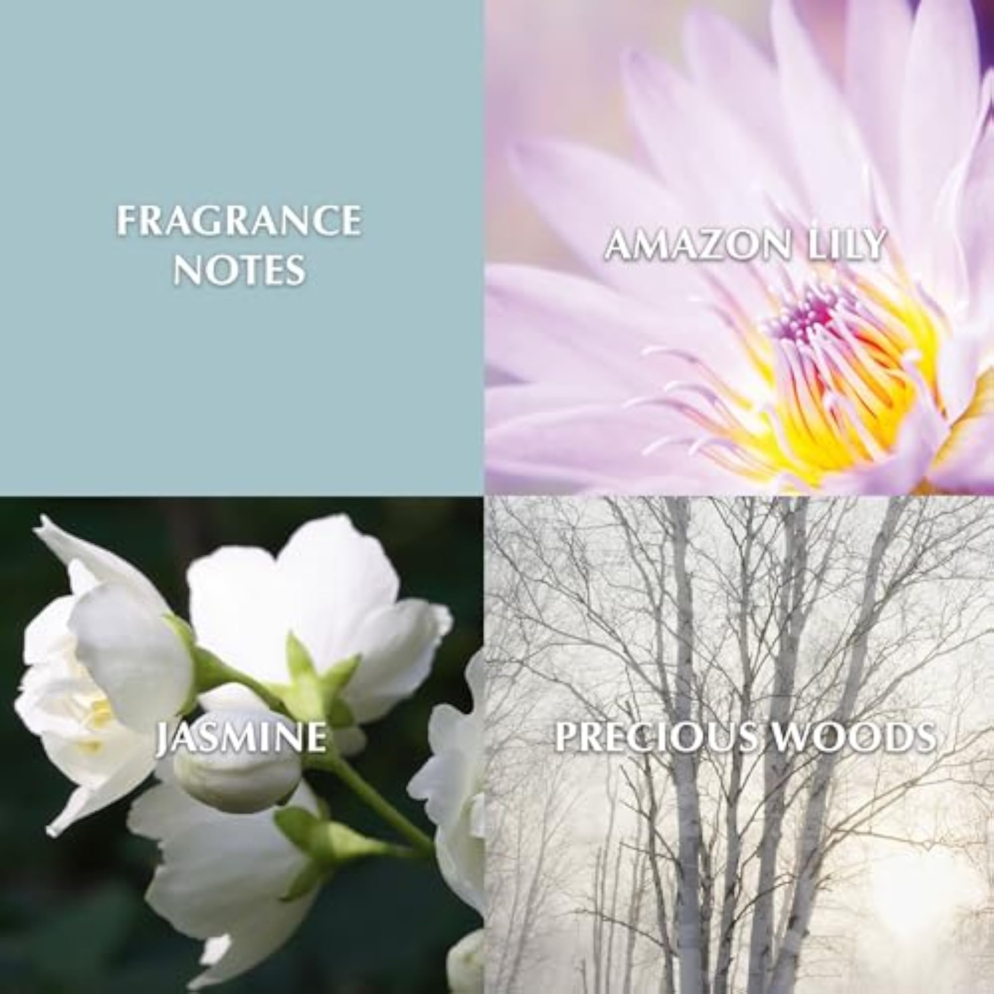Women's Sparkling White Diamonds Eau de Toilette Spray, 3.3 Ounce