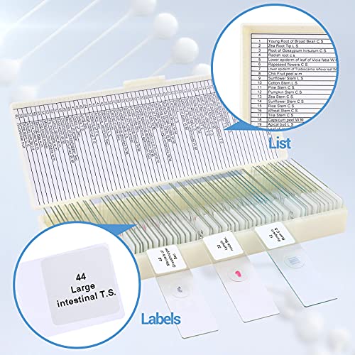 Lakwar QJKJ-H24-013 60 Microscope Slides thumb #3
