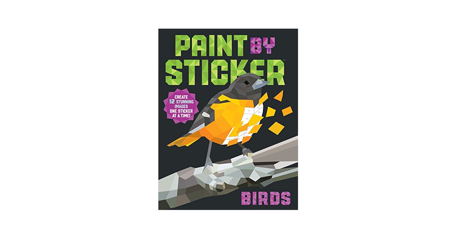 Amazon.com: Paint by Sticker (Official): Birds: Create 12