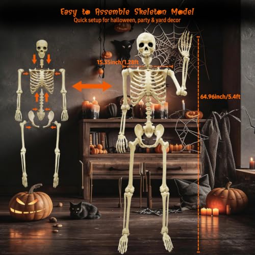Image of breesky Life Size Skeleton for Halloween: 5.4ft Realistic Human Skeleton | Posable Movable Joints - Full Body Skeletons for Outdoor Yard Haunted House Indoor Halloween Spooky Atmosphere Decoration