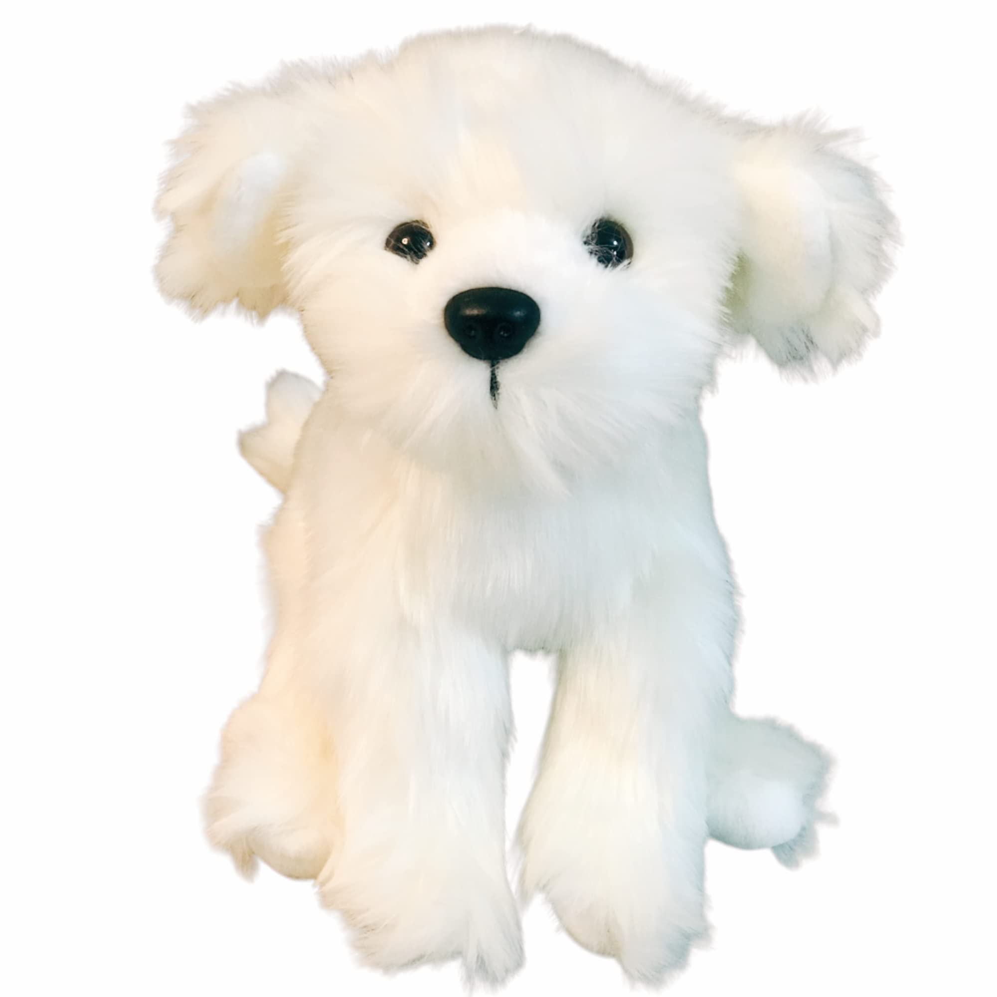 What Kind Of Dog Toys Does A Havanese Like