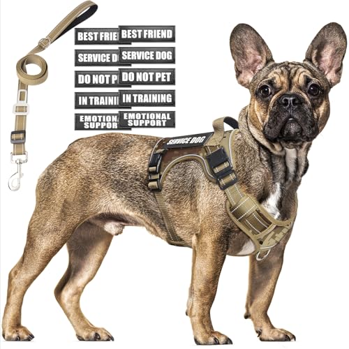 MOOGROU Tactical Dog Harness and Leash Set Medium Sized Dog,Heavy Duty No Pull Service Dog Vest and 10 Patches with Dog Seat Belt,Reflective Adjustable Pet Harness for Training Walking Hiking Camo M