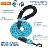 haapaw No Pull Dog Harness Adjustable Reflective Oxford Easy Control Medium Large with a Free Heavy Duty Dog Lead - Image 3