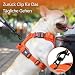PoyPet Keine Pull Hundegeschirr, Reflektierendes Hundegeschirr für Hunde ohne Choke, Verstellbare, weich gepolsterte Haustierweste mit Easy Control-Griff für kleine bis große Hunde (Orange,M)