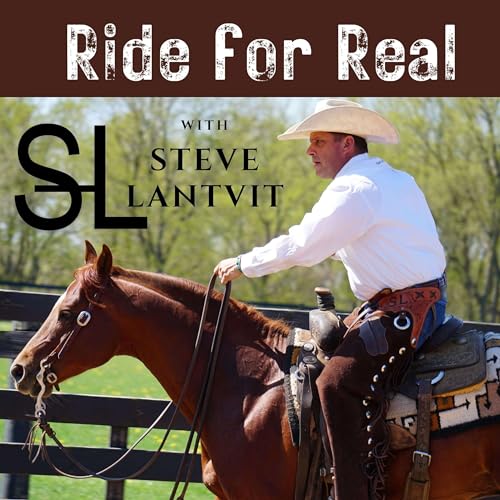 Page de couverture de The process of buying a horse and potential red flags