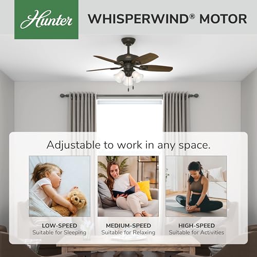 Image of Hunter Builder, Indoor, Ceiling Fan, with LED Lights, 42 inch, New Bronze