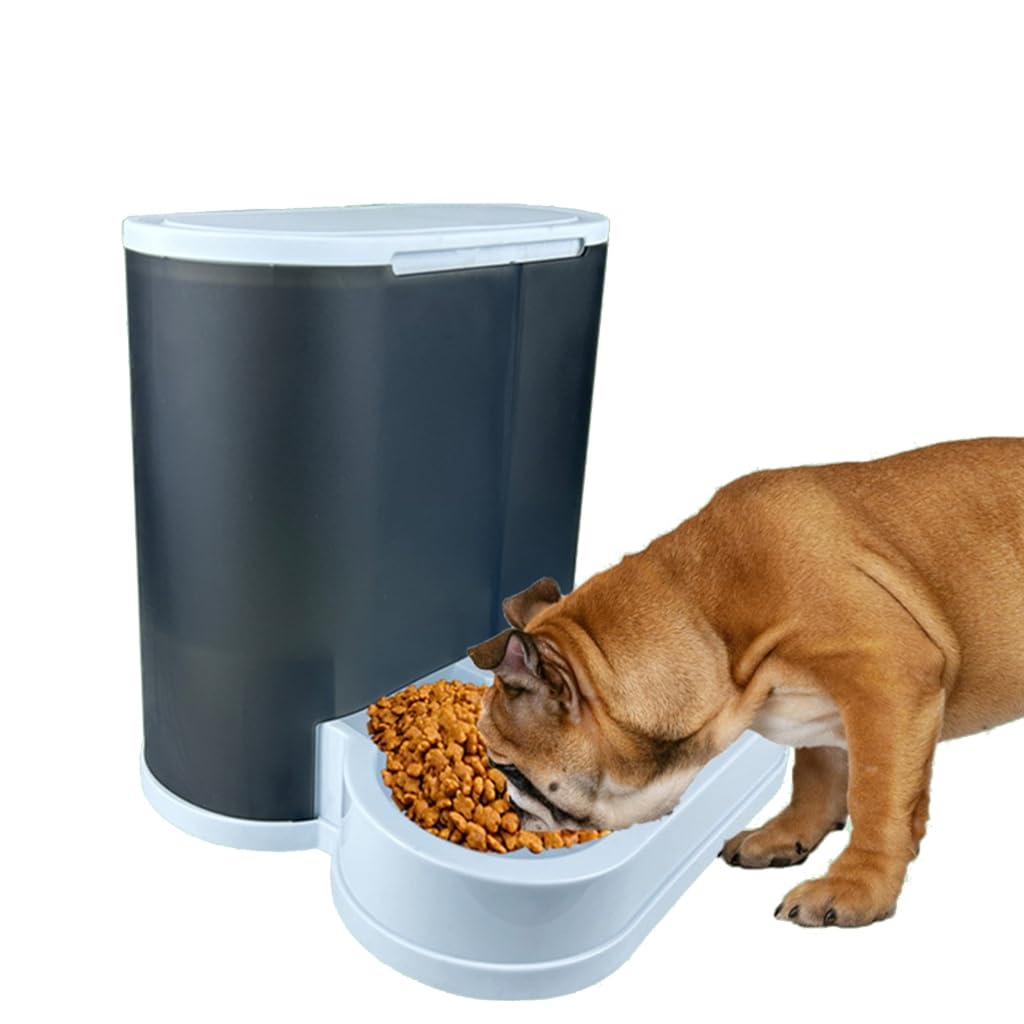 Alimentatori a doppia ciotola per animali domestici Ciotola per alimenti Alimentatori automatici per animali domestici Irrigazione Alimentazione