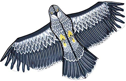 Hawk Bird spaventare aquilone, repellente per