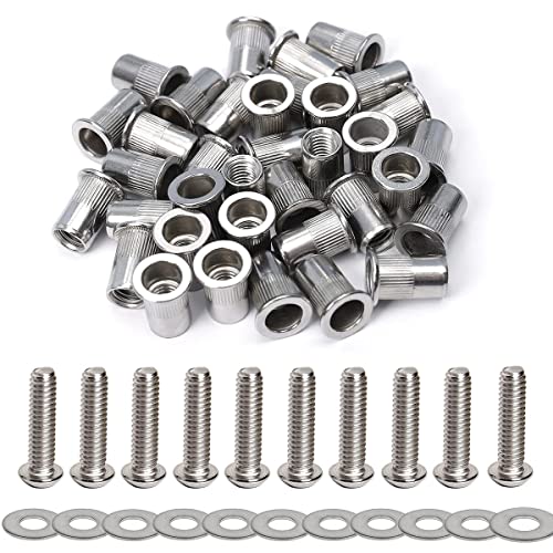 Stainless Steel 1/4-20 Rivet Nuts and Button Head Bolts 3/4"