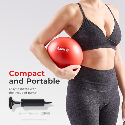 Sunny Health & Fitness 9" Premium Anti-Burst Exercise & Stability Ball - image 7