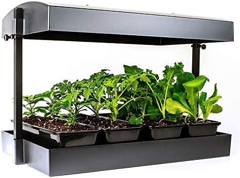 Park Seed Indoor Gardening System, Includes Self Watering Plant Tray with Adjustable LED Grow Light Dome, Black, 24 Inches