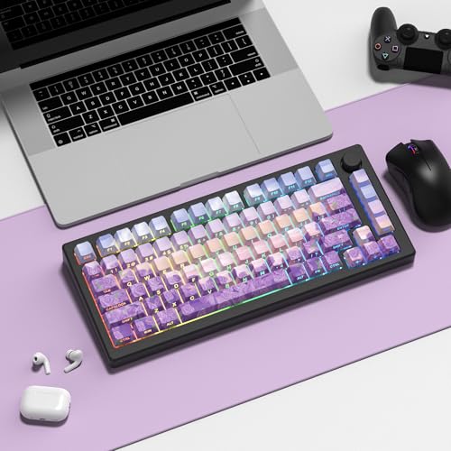 Image of dagaladoo Purple Keyboard keycaps,Double Shot PBT keycaps | Shine Through Keycaps dye-sub,Side Print,Cherry Profile keycaps for Mechanical Keyboard 60% /65% /75% /TKL /96% /100% US Layout