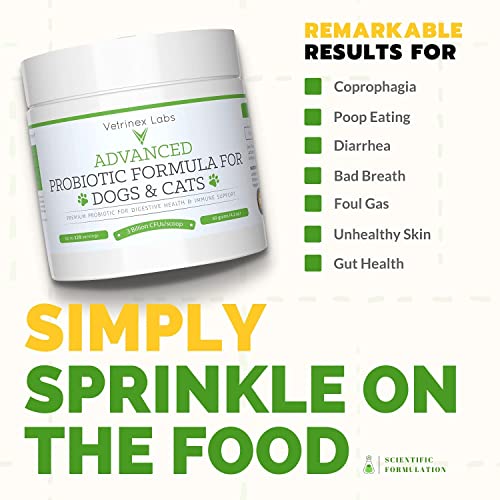 Vetrinex Labs All Round Support And Gut Health Bundle- Effective Probiotics And Multivitamins For Dogs #TOP5