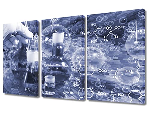Image of TUMOVO Laboratory Wall Art 3 Panels Canvas Wall Art Chemical Equations Painting Wall Decor Living Room Modern Home Decor Framed Ready to Hang (36 inch Wx24 H)