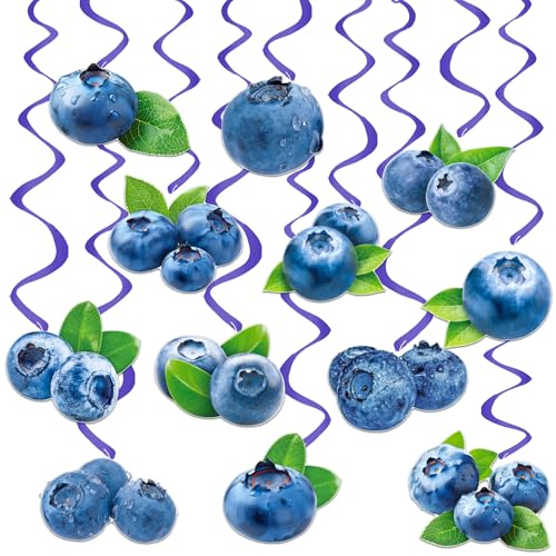 Blueberry Hanging Swirls 20Pcs Blueberry Baby Shower Decorations Berry Sweet Birthday Party Hanging Stremaers Blueberries Ceiling Decor for Boys Girls Fruit Theme Party Supplies