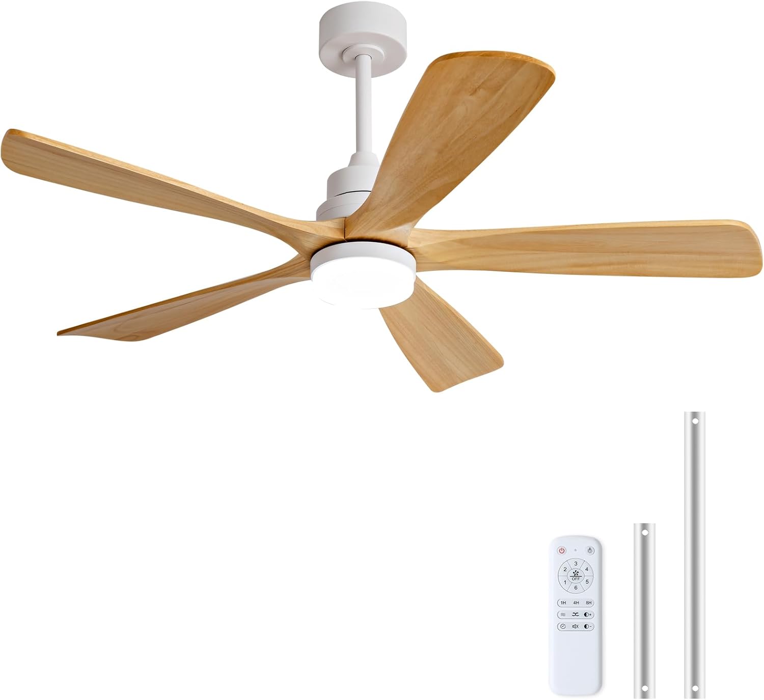 https://m.media-amazon.com/images/I/51bGA4qB+rL._AC_SL1500_.jpg