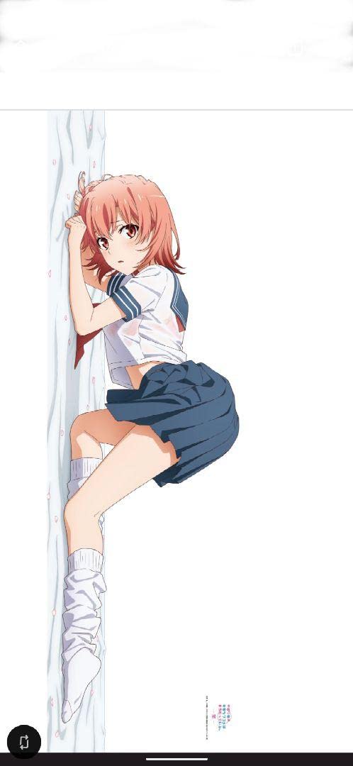 Amazon | C101 俺ガイル プレミアム抱き枕カバー（セーラー服） 由比ヶ  