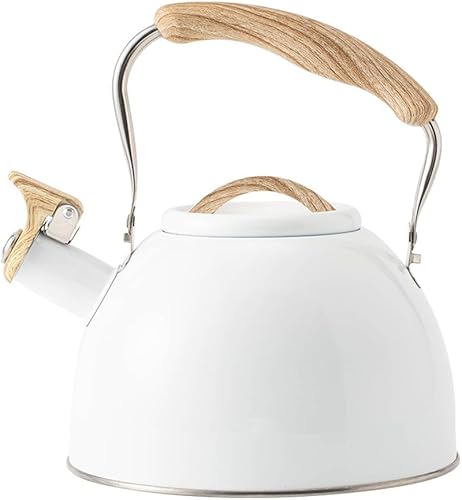 Tetera quirúrgica de acero inoxidable de 3 L con mango ergonómico de tacto fresco, tetera de acero inoxidable con mango frío, también para estufa de