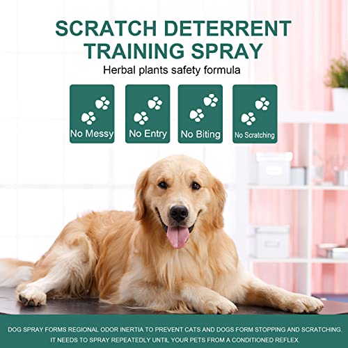 Qmjudb YX-US-CATDE-1 Cat Deterrent Spray Indoor, 175Ml - Cat Repellent Indoor For Cat And Kitten, Anti Cat Scratching Deterrent Spray thumb #1