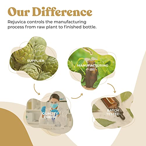 Rejuvica Health Active Adrenal + Active Maca - Support Energy + Stress - Liquid Delivery For Better Absorption - Rhodiola, Maca, Holy Basil, Ashwagandha & More! #TOP4