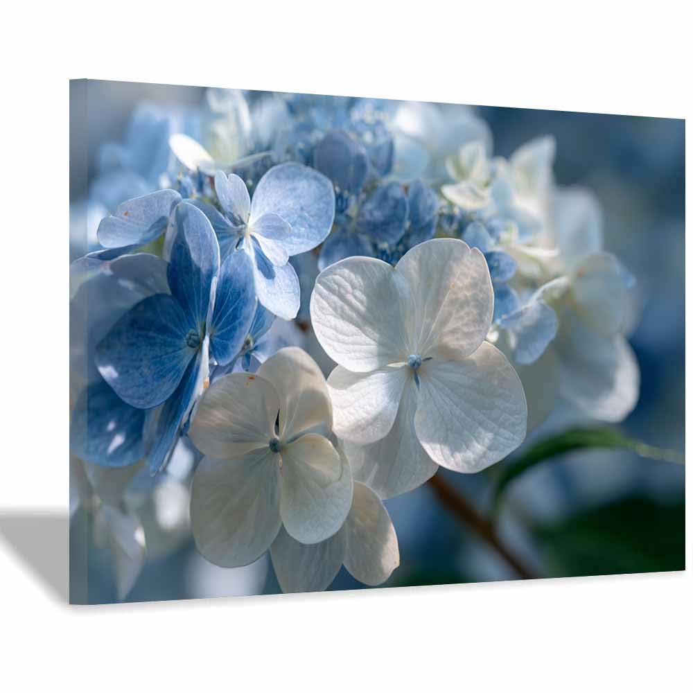 ZAMAEIU Nature Wall Art Clustered Petals decorative home accessories, paintings wall art,For living room, bedroom, Apartment Corridor Office etc.(white)-50x70cm Framed