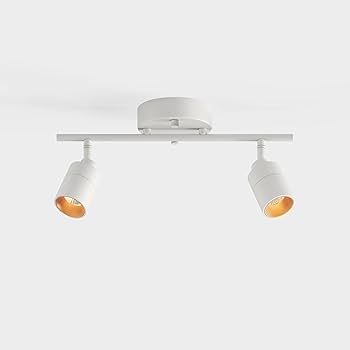 Shura White 2-Light Track Light with Adjustable Heads